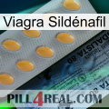 Viagra Sildénafil 44